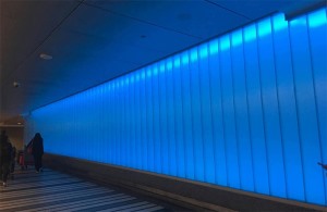 彩色U型九州手机网页版登录入口